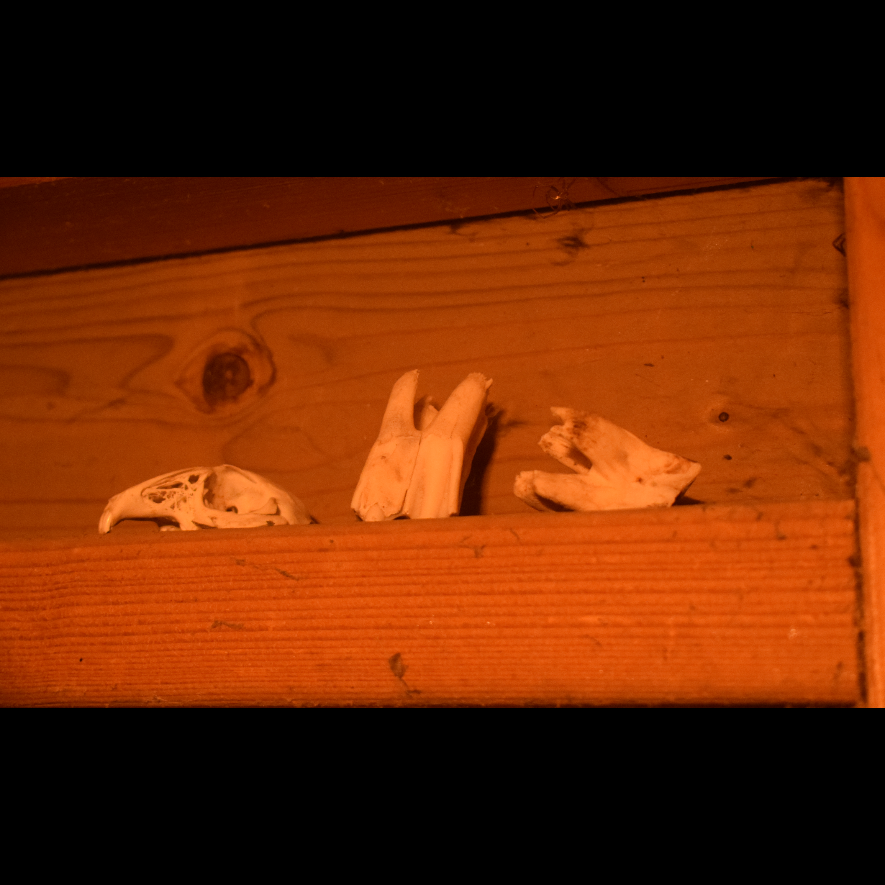 Angels Road - Prologue placeholder cover